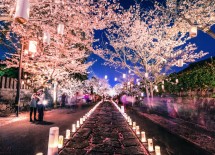 تعطیلات رسمی ژاپن - فستیوال های ژاپن - ماتسوری های ژاپن