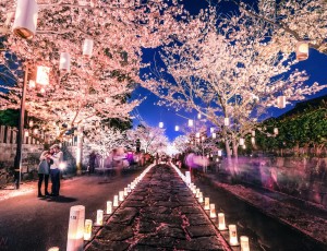 تعطیلات رسمی ژاپن - فستیوال های ژاپن - ماتسوری های ژاپن